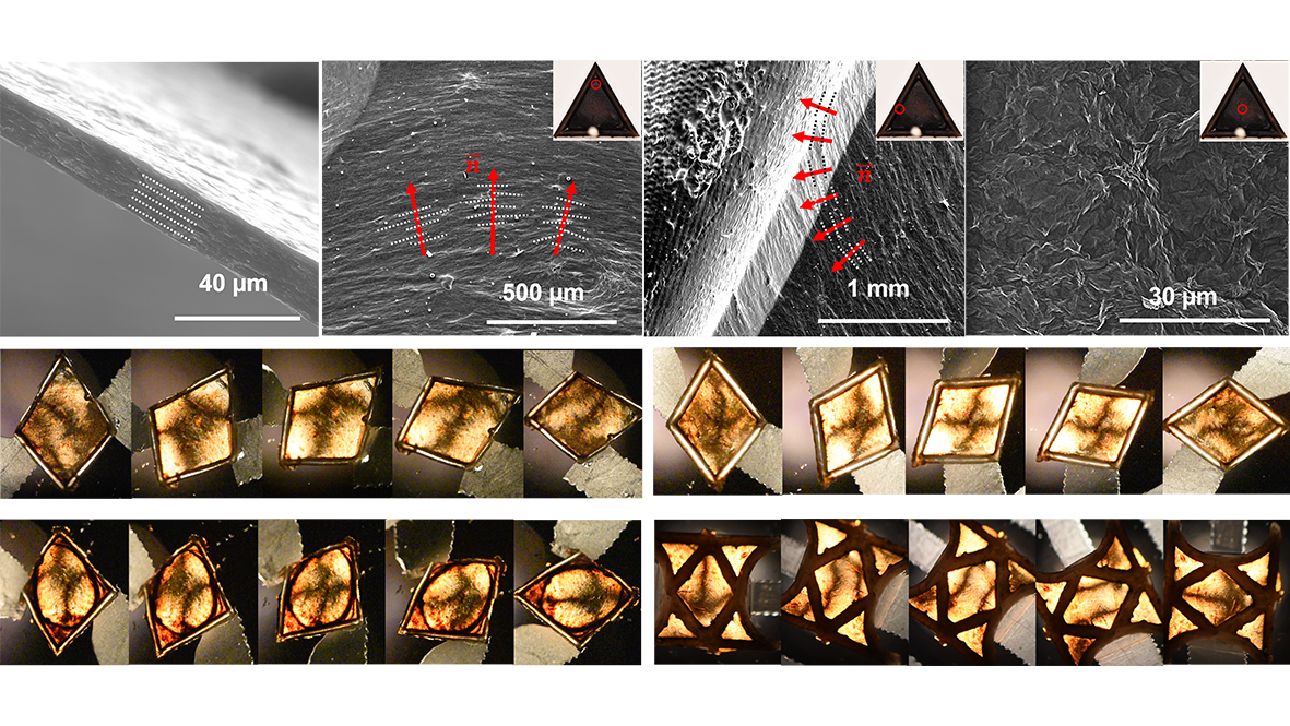 soap-coating-cellular-structures archive photo