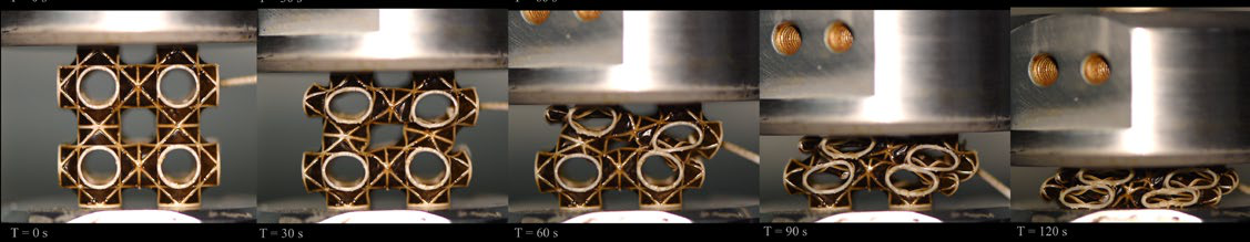 Compression test of soap-coated cellular structure
